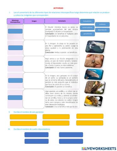 Relaciones interespecíficas