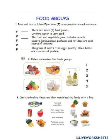 Food Groups