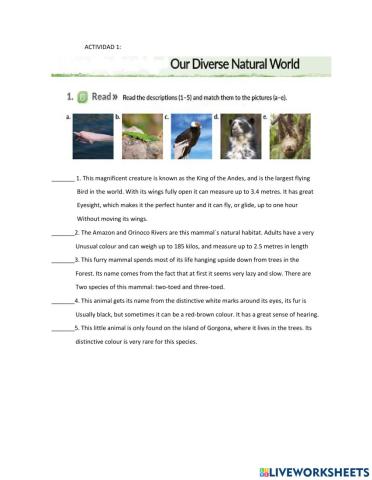 Our Diverse Natural World