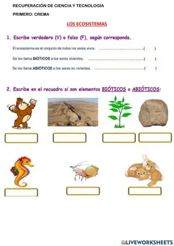 Abióticos y bióticos