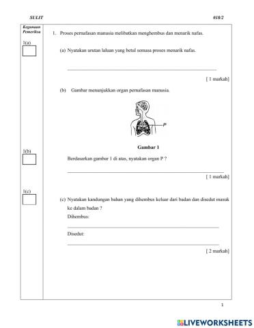 Sains Kertas 2 Tahun 4