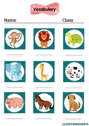 Animals Vocabulary