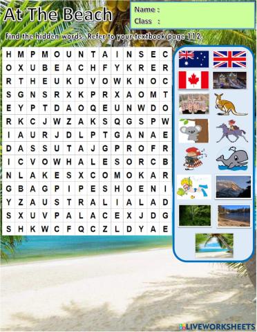 Year 2 Unit 9 At the Beach: Country (Reading)