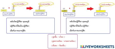 ปฏิกิริยาดูดความร้อน-คายความร้อน