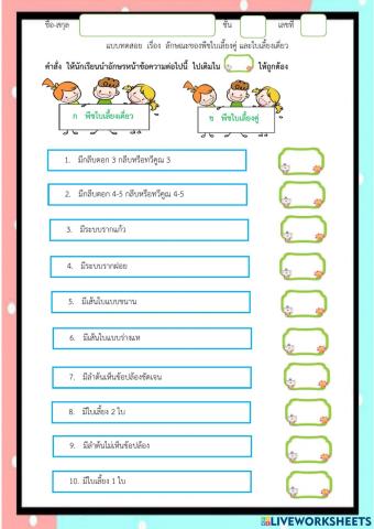 แบบทดสอบ เรื่อง ลักษณะพืชใบเลี้ยงคู่ ใบเลี้ยงเดี่ยง ป.4