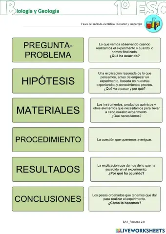 Fases del método científico