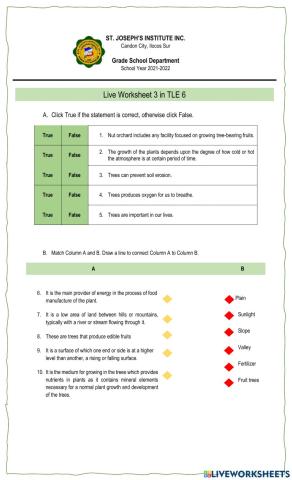 M2 Worksheet 3 (TLE 6)