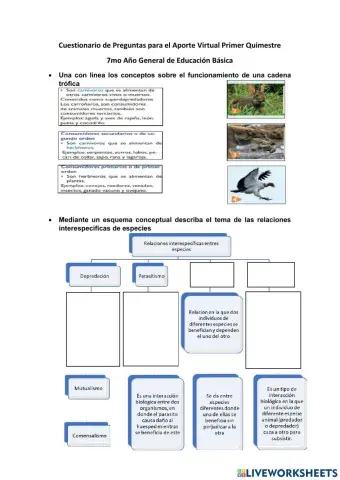 Cuestionario 1er Quimestre 7mo EGB Virtual