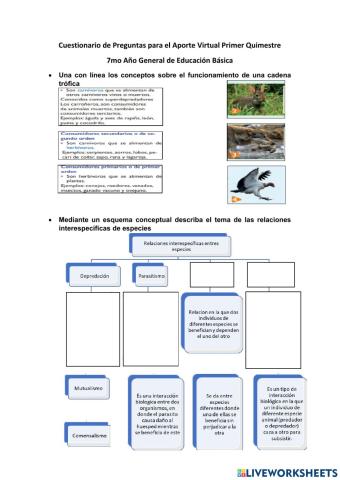 Cuestionario 1er Quimestre 7mo EGB Virtual