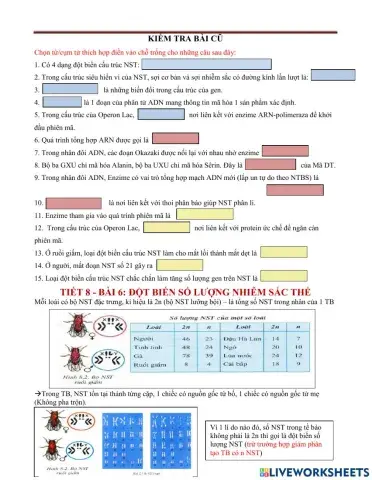 Bài 6.sinh12- đột biến số lượng nst
