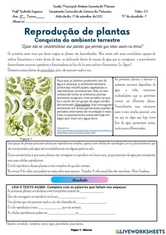 Conquista do ambiente terrestre