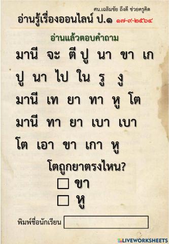 แบบทดสอบอ่านรู้เรื่อง ป.1 (5 หน้า 5ข้อคำถาม)