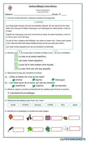 Examen diagnóstico Español 2