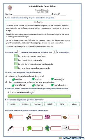 Examen diagnóstico Español 2