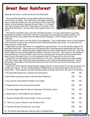 Great Bear Rainforest PET Reader