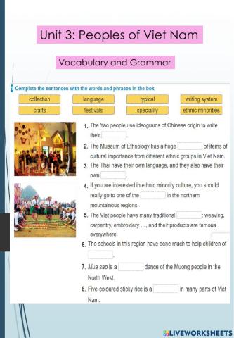 English 8 Unit 3- Vocabulary and Grammar