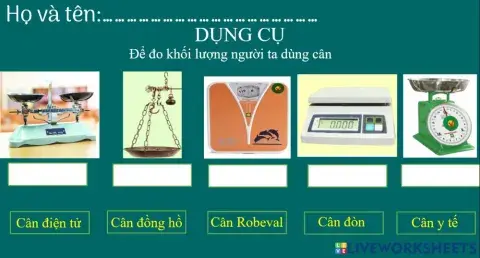 Dokhoiluong-pht2-cacloaican