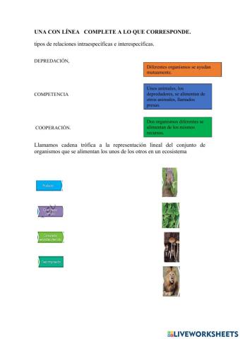 Los seres vivos en los ecosistemas
