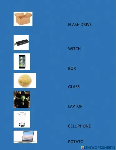 Singular and plurals