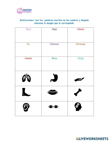 Relaciona palabra imagen partes del cuerpo