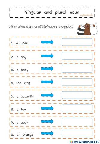 Singular and Plural noun