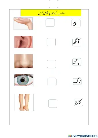 Online work sheet for 5 std