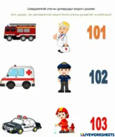 Зөв холбоорой