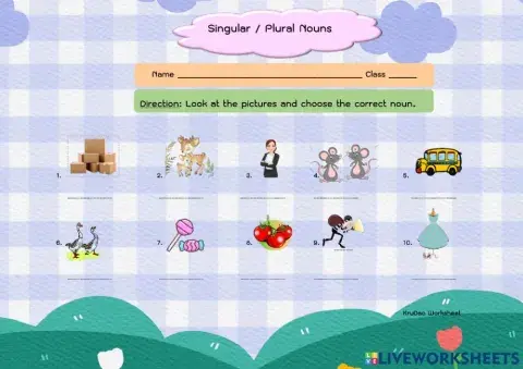 Singular and plural nouns