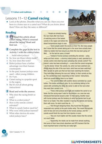 10G- L11-12- Camel racing