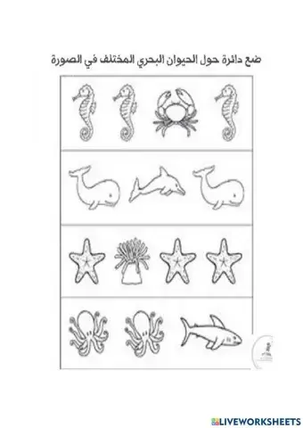 ورقة عمل مراجعة