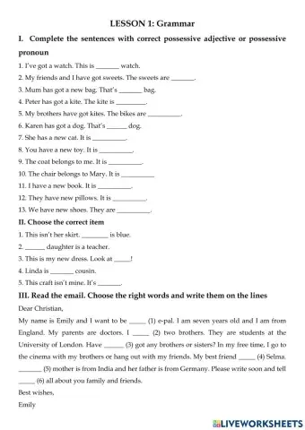 Adjectives and Pronouns