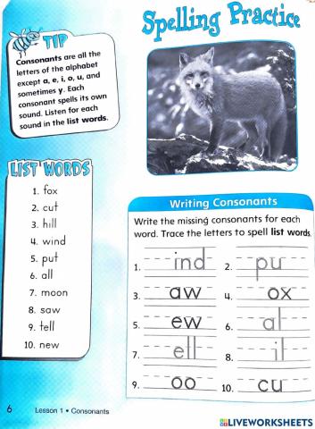 Spelling Practice: Consonants - Lesson 1