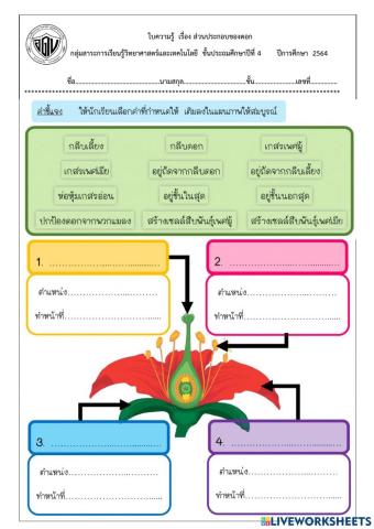 ส่วนประกอบของดอก