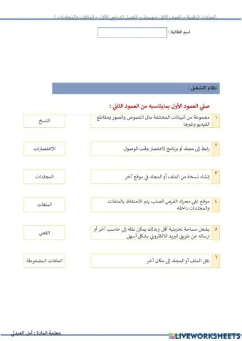 المهارات الرقمية - الملفات والمجلدات