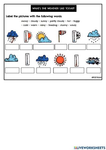 What's the weather like?