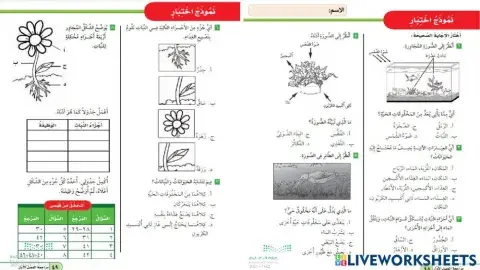 نموذج اختبااااارثالث