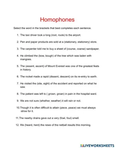 Vocabulary- Homophones