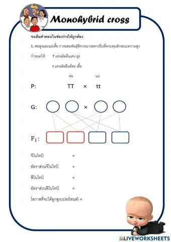 ใบงานเรื่อง monohybrid cross
