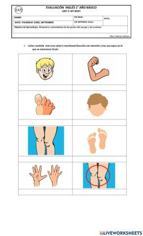 Test unit 3: my body