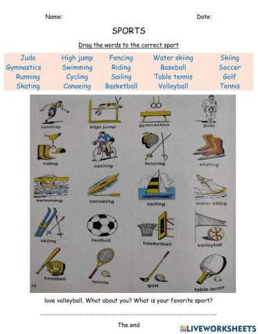 What is your favorite sport?