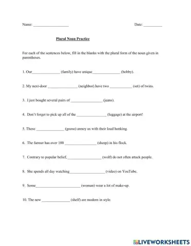 Plural Noun Practice