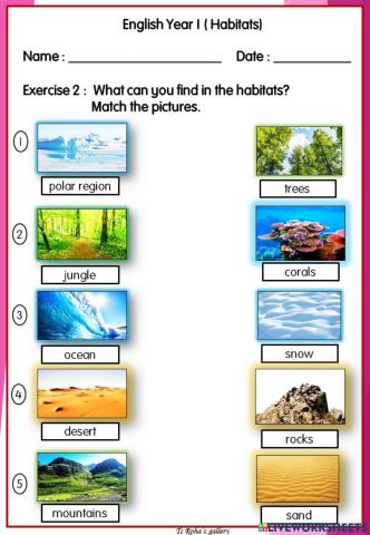 Things in the habitats