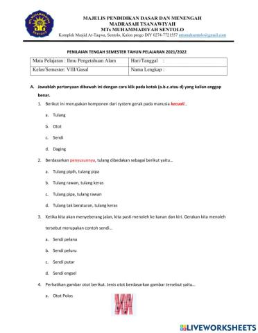 Penilaian Tengah Semester IPA Kelas 8