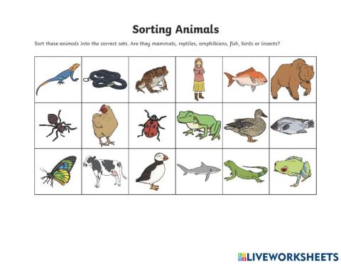 Sorting animals into groups