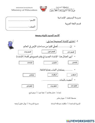 الاسم الممدود التثنية والجمع