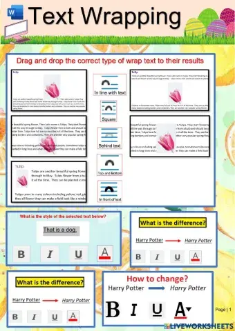 MS Word - Text Wrapping