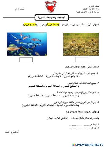 الجماعات والمجتمعات الحيوية