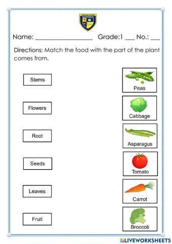 Foods that parts of the plants comes from