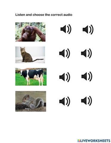 Adjectives & Animals