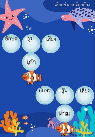 บอกเกี่ยวกับคำอักษรสูง กลาง ต่ำได้ถูกต้อง